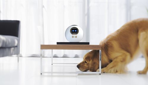 語(yǔ)音助手 智能家居新終端引領(lǐng)未來(lái)生活變革