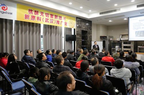 新材料技術推廣服務 開啟創新賦能新篇章